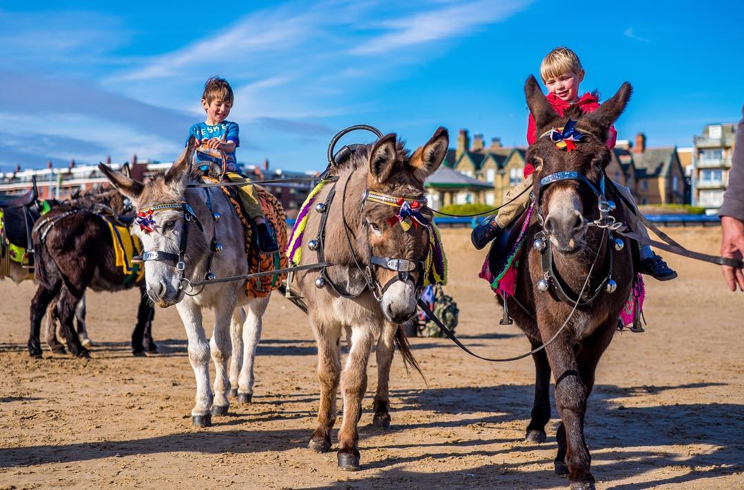 A donkey ride on the beach